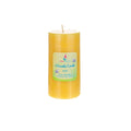 Mega Candles - 3" x 6" Hand Poured Citronella Scented Pillar Candle